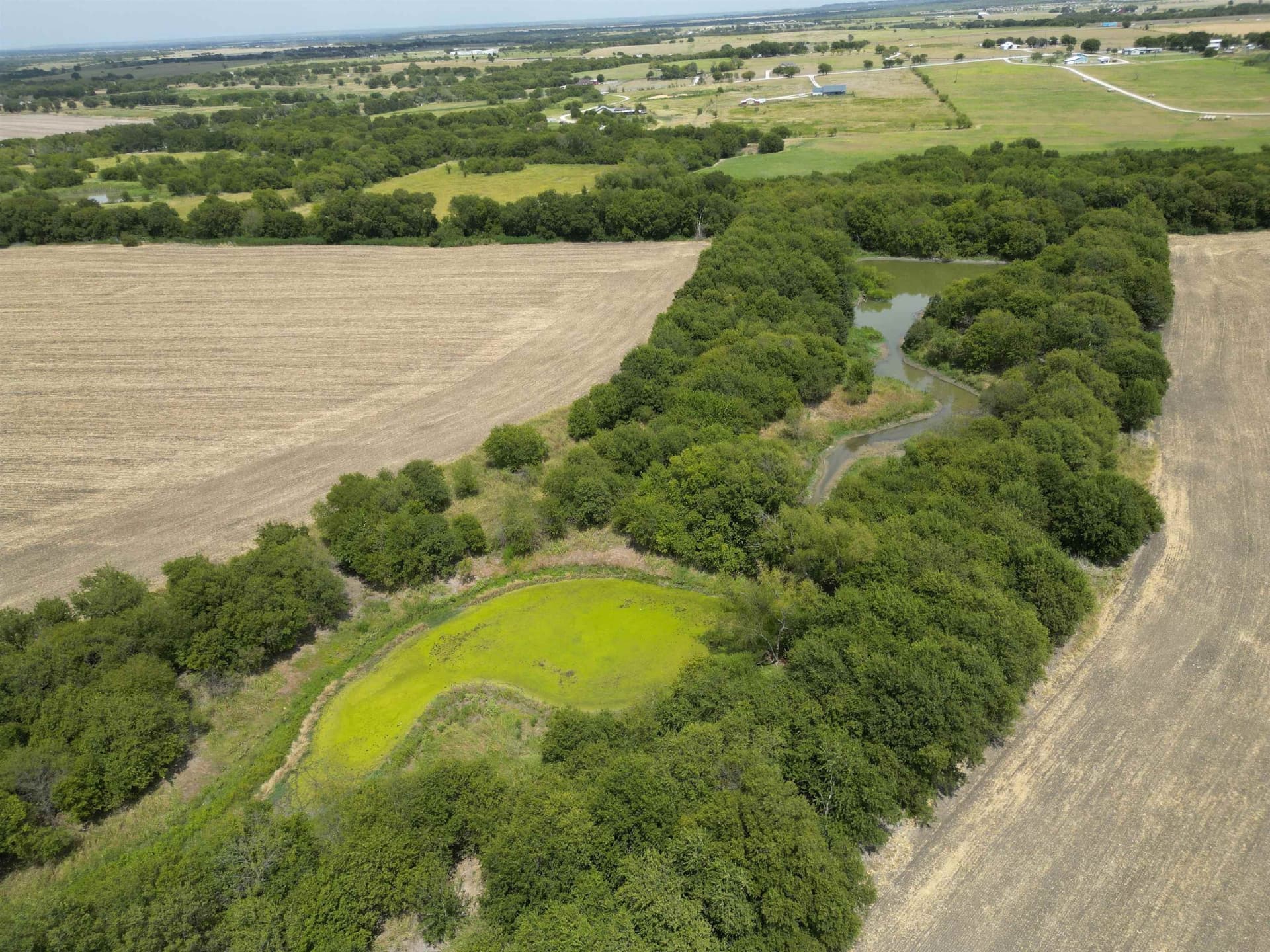161.45 acres in Out of Area County - photo 6