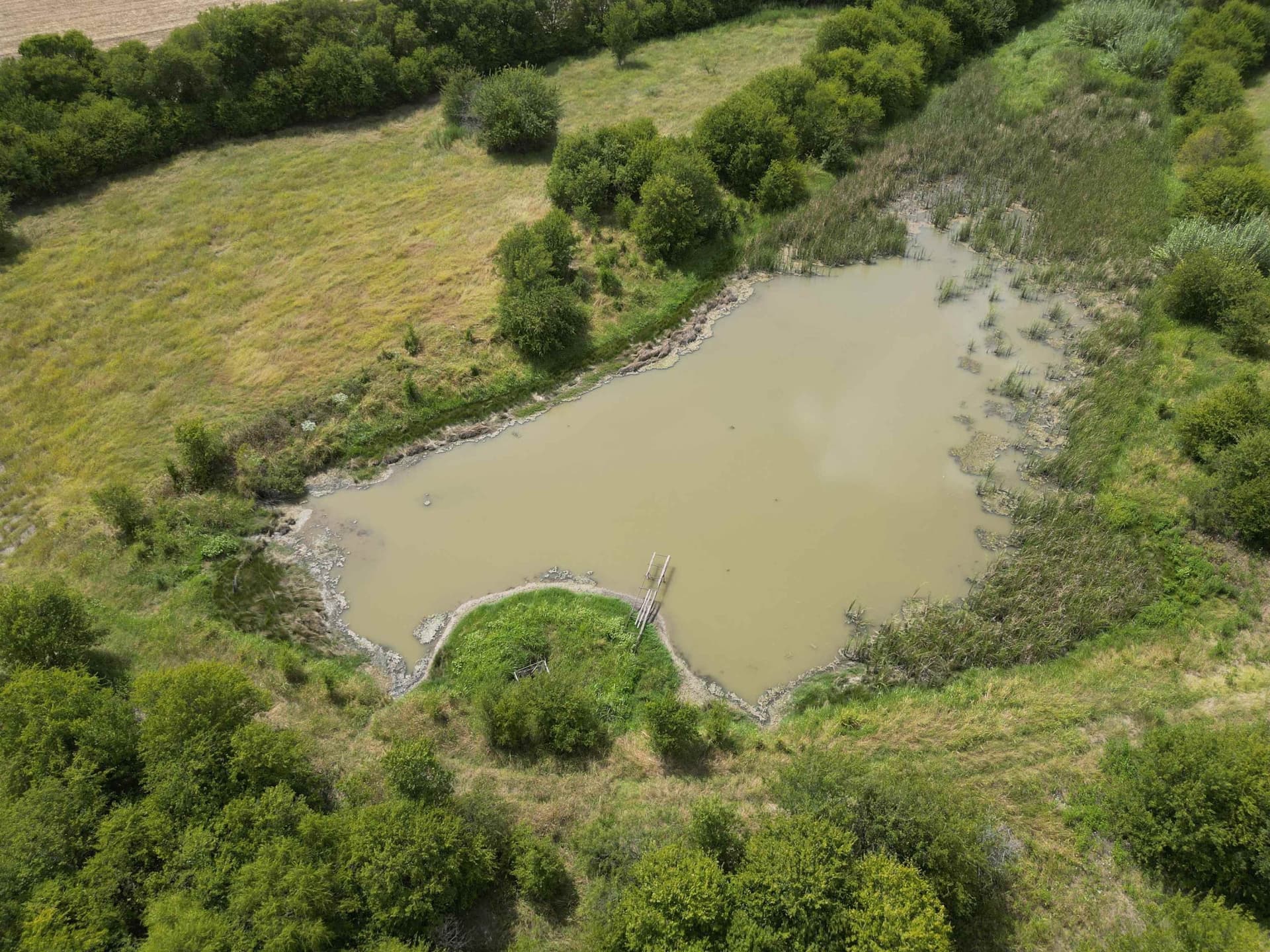161.45 acres in Out of Area County - photo 16