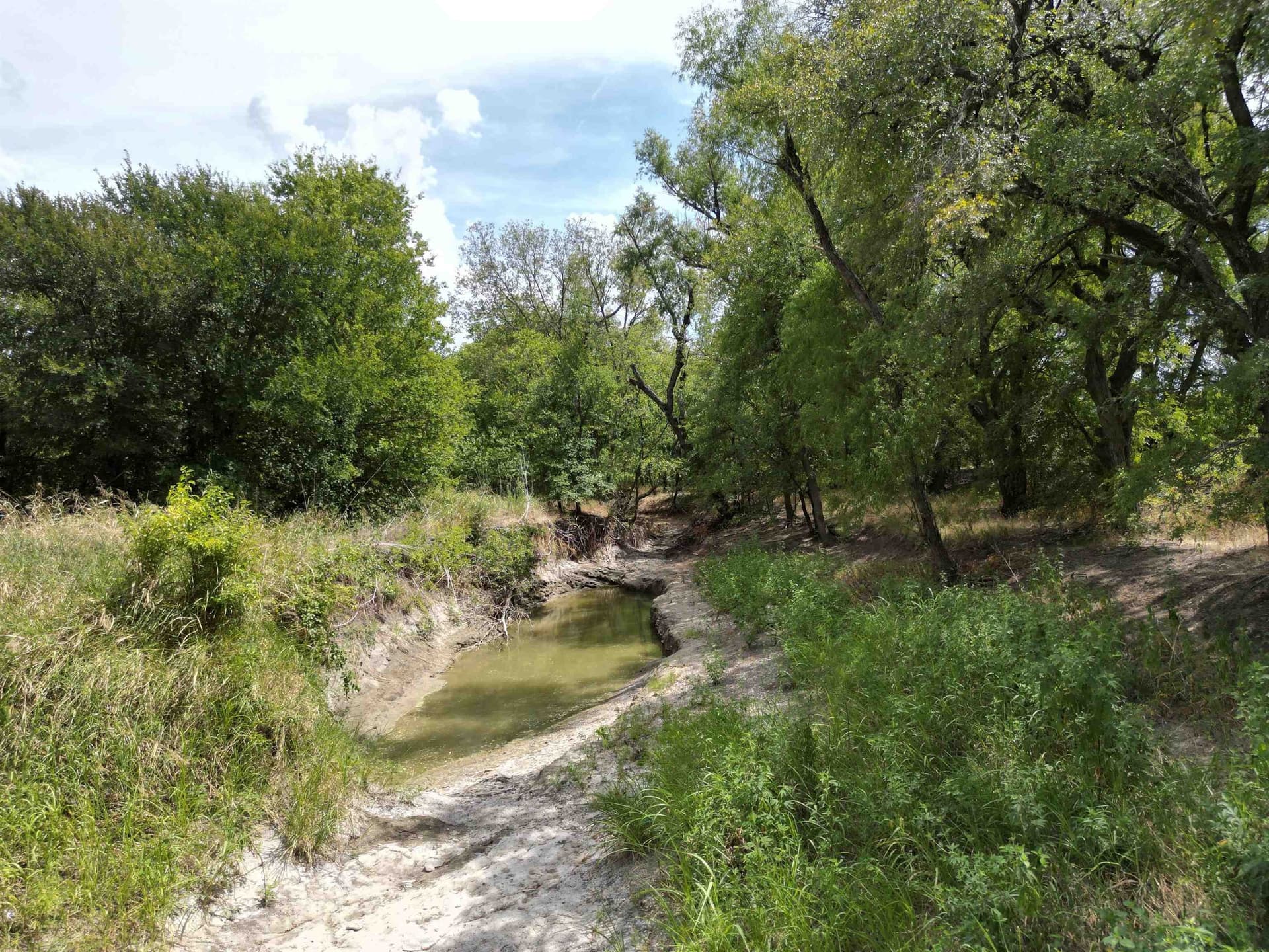 161.45 acres in Out of Area County - photo 11