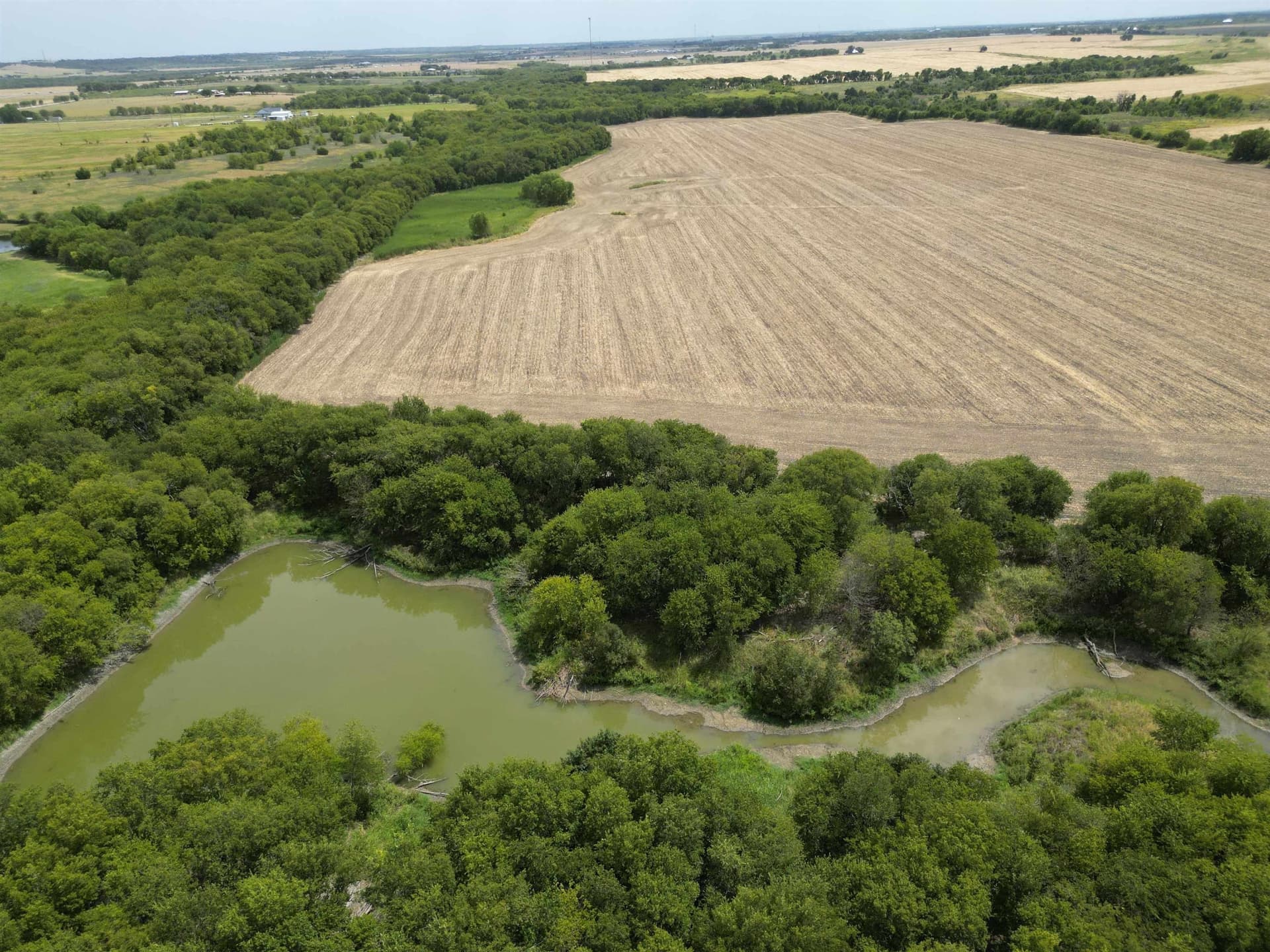 161.45 acres in Out of Area County - photo 9