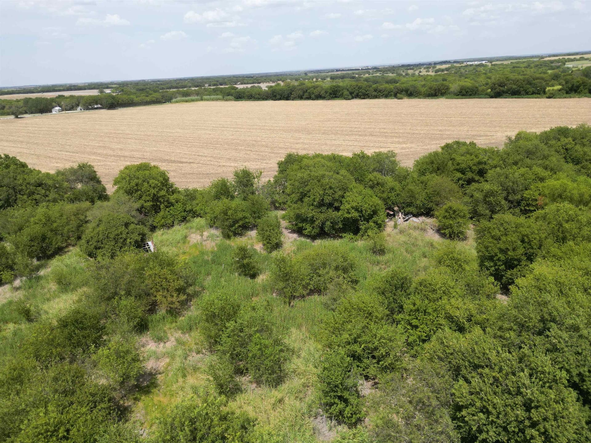 161.45 acres in Out of Area County - photo 32