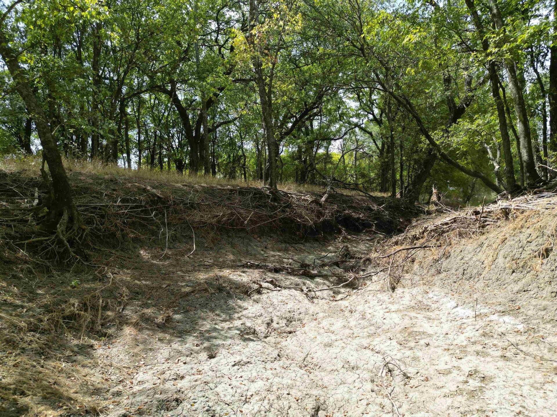 161.45 acres in Out of Area County - photo 23