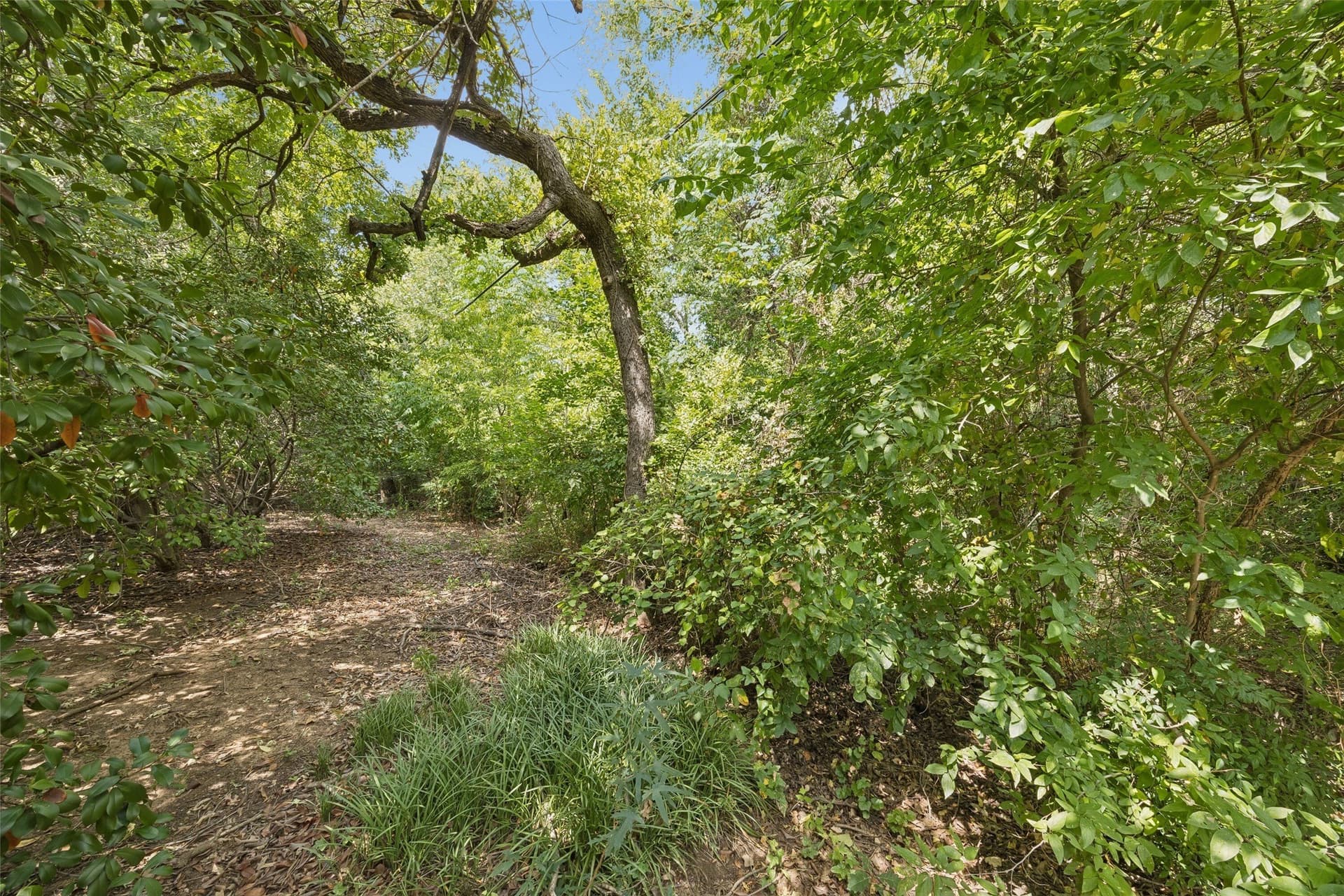 1.36 acres in Tarrant County - photo 11