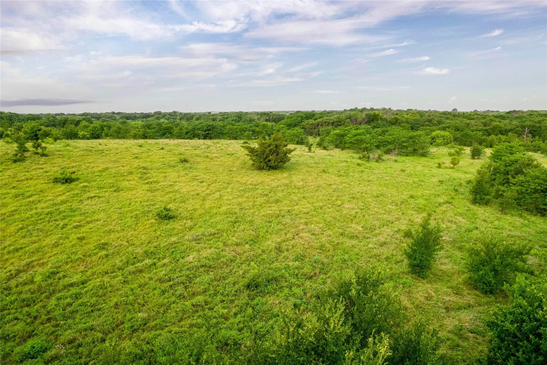 85.55 acres in Grayson County - photo 15