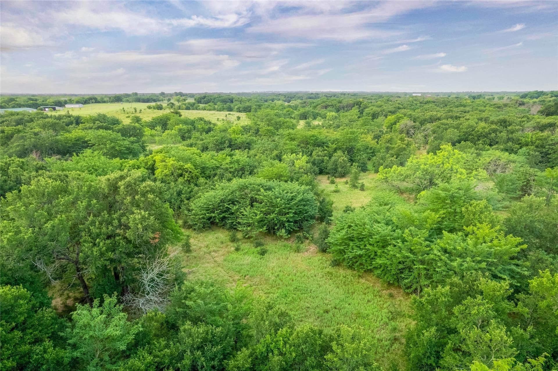 85.55 acres in Grayson County - photo 11
