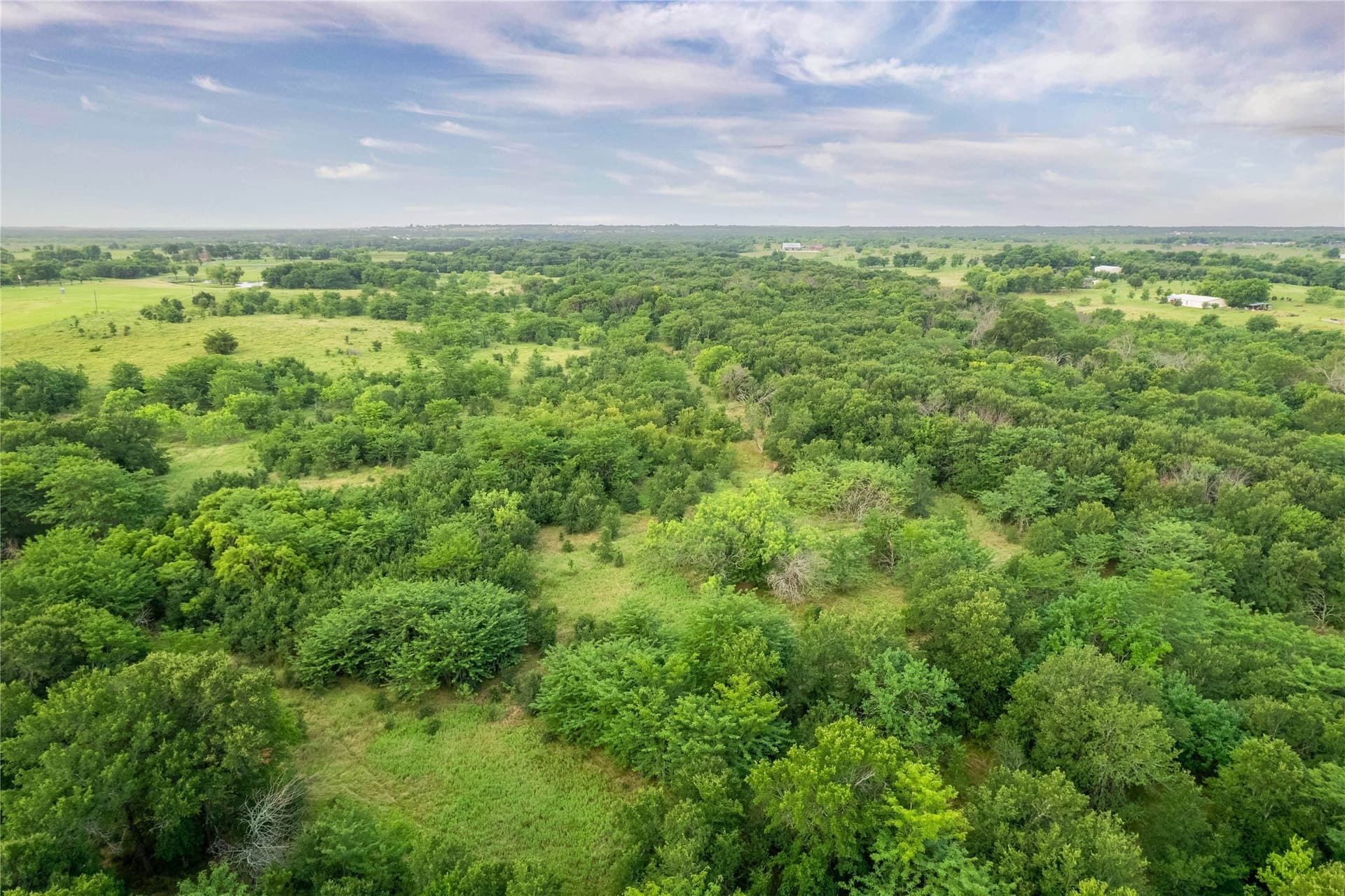 85.55 acres in Grayson County - photo 10