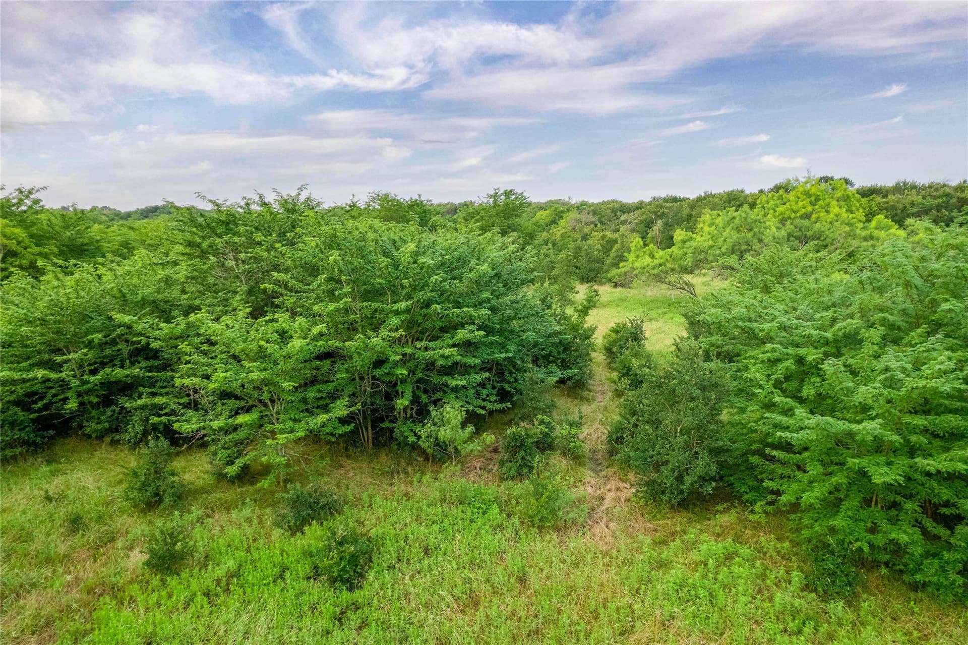 85.55 acres in Grayson County - photo 12