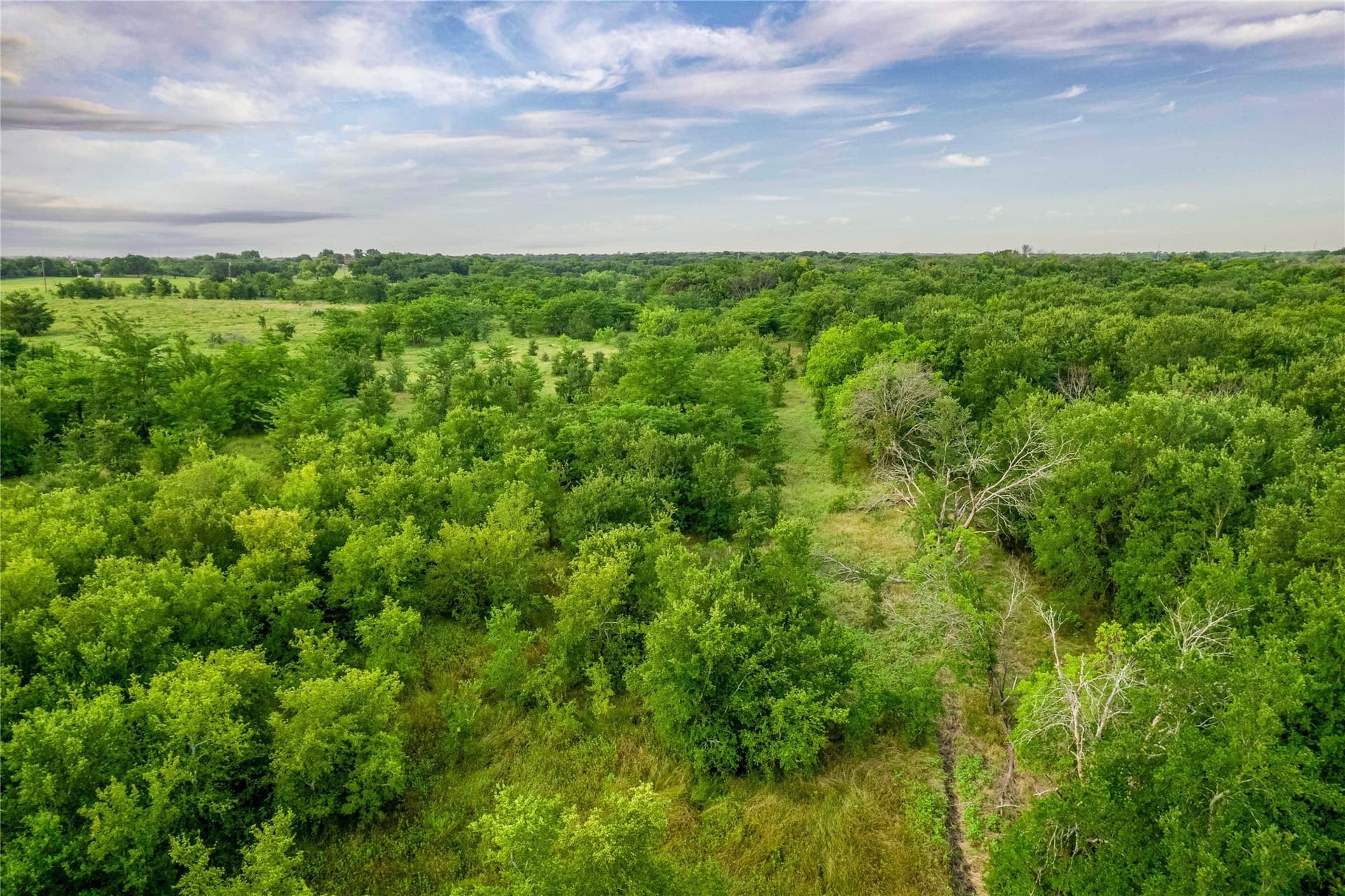 85.55 acres in Grayson County - photo 14