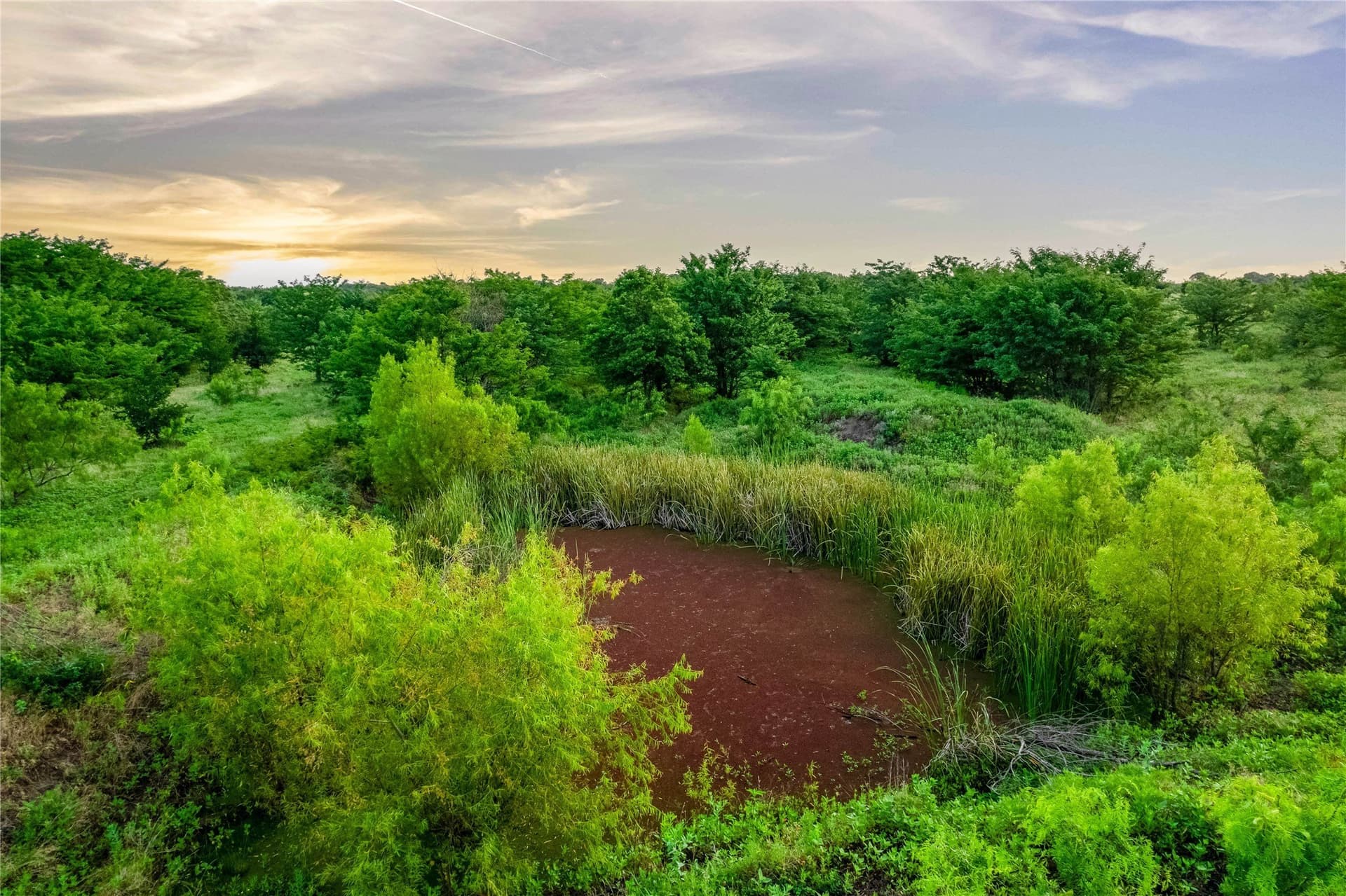 85.55 acres in Grayson County - photo 19