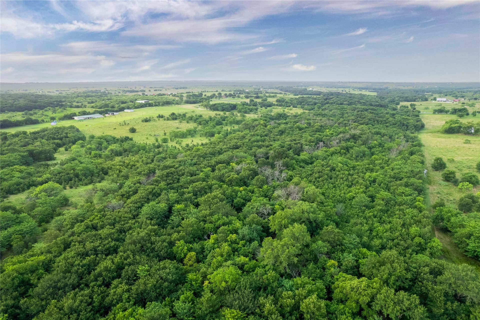 85.55 acres in Grayson County - photo 9