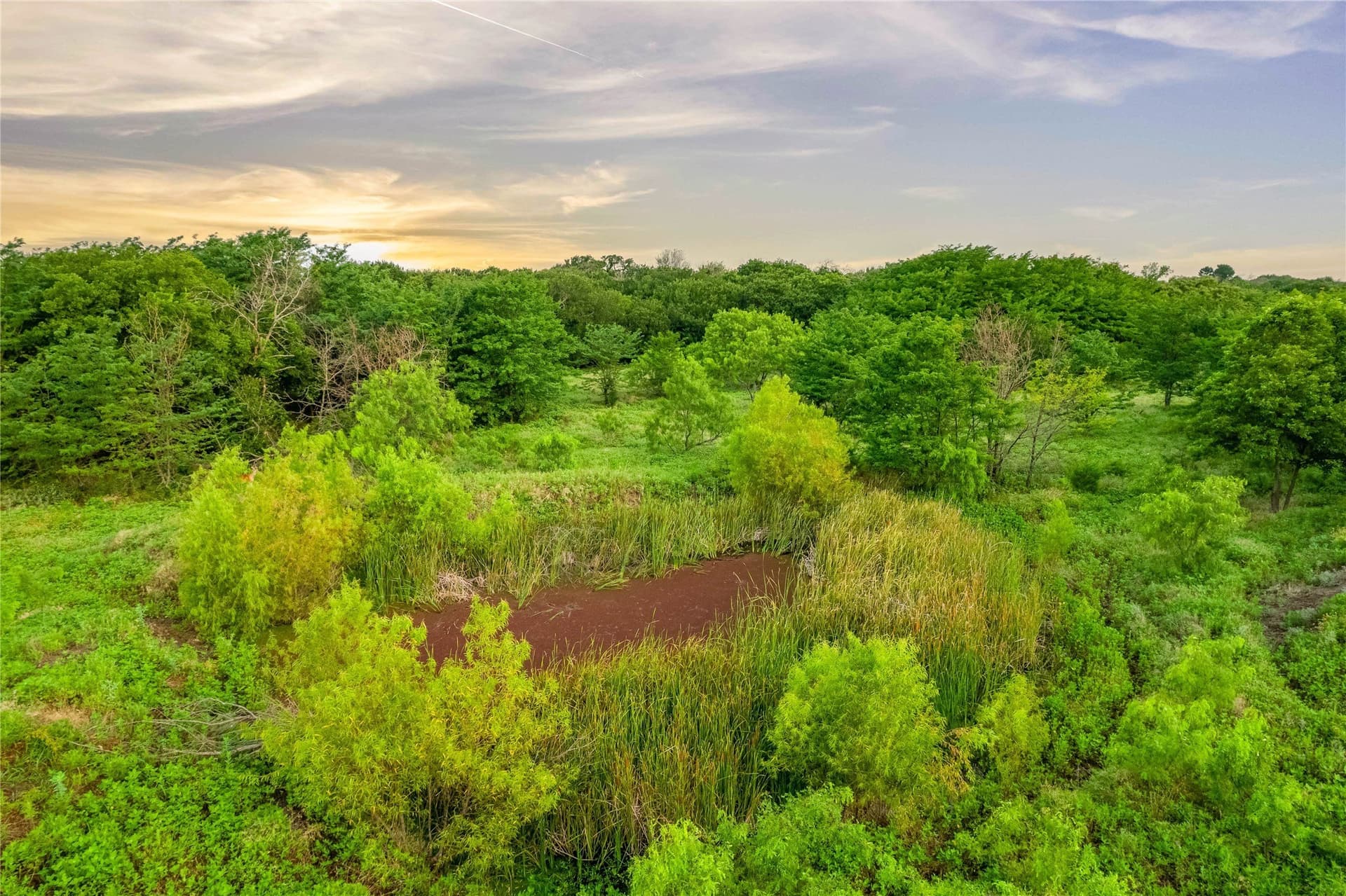 85.55 acres in Grayson County - photo 18