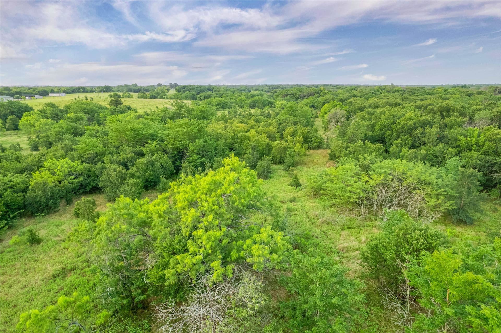 85.55 acres in Grayson County - photo 13