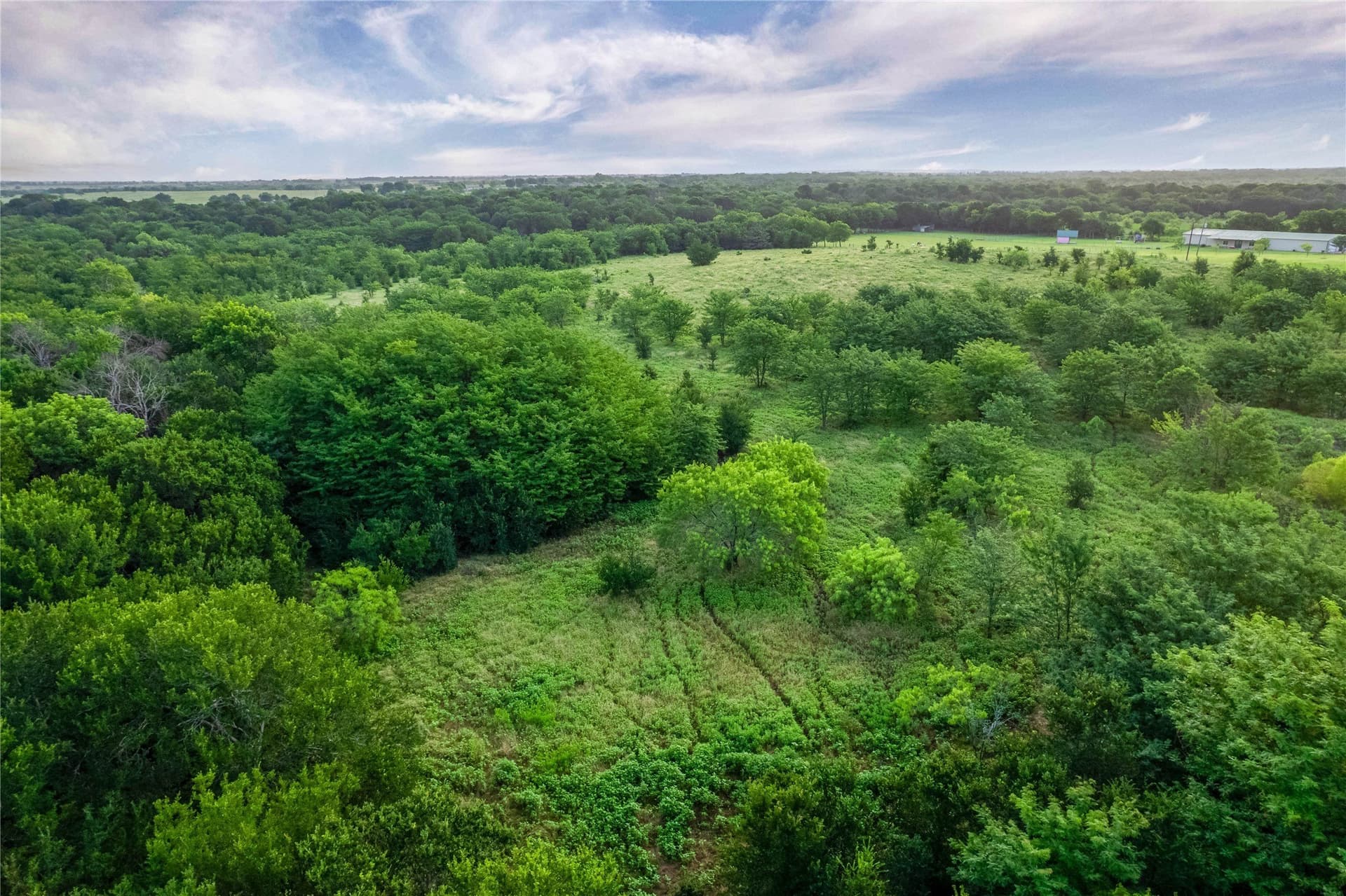 85.55 acres in Grayson County - photo 21