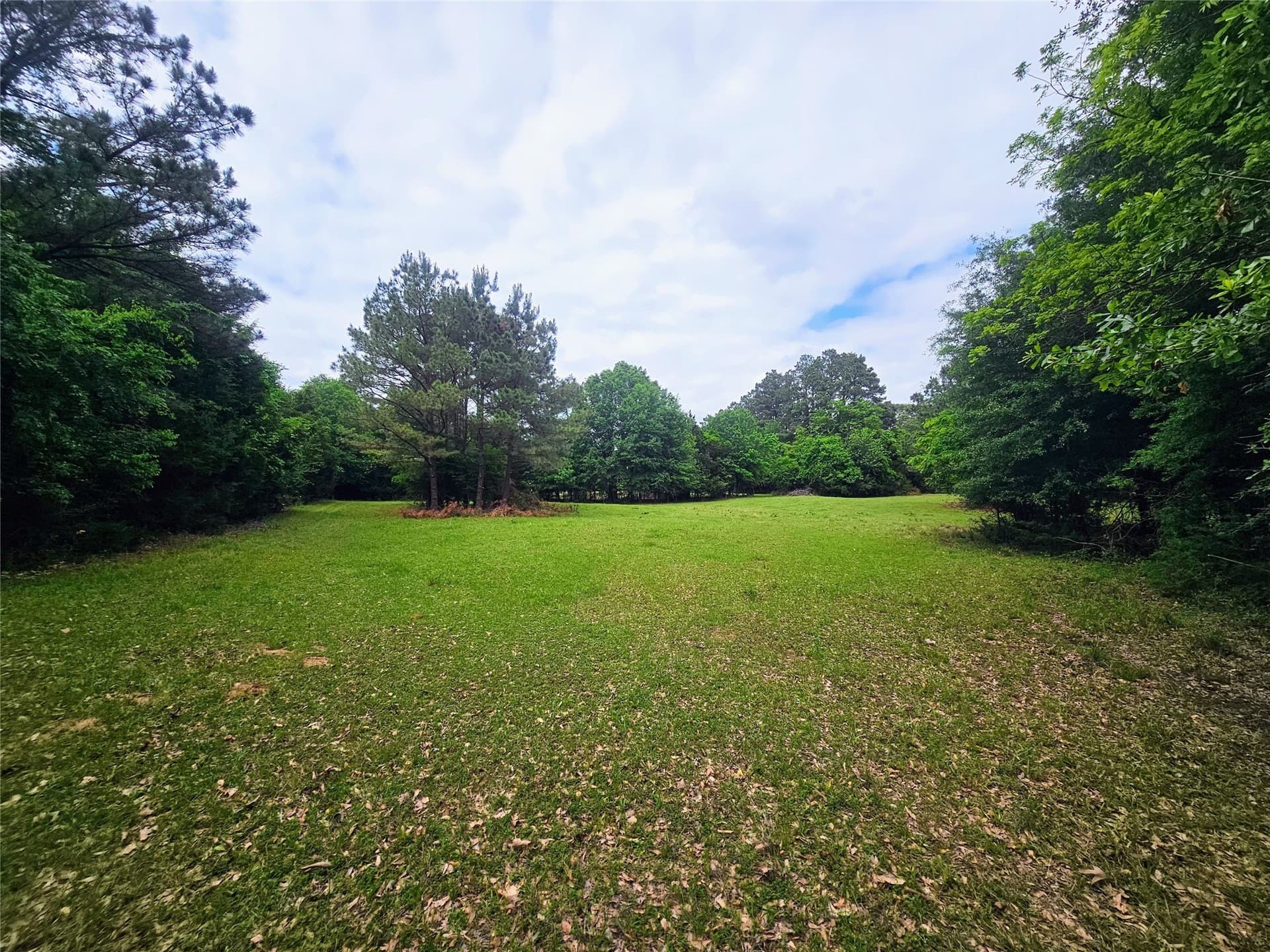 4.5 acres in Lamar County