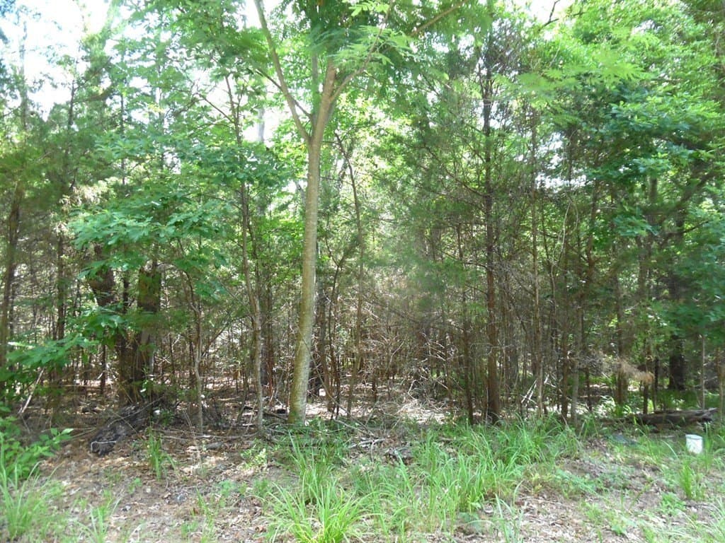 0.25 acres in Van Zandt County gallery image 3