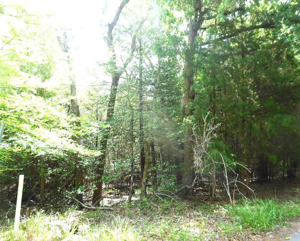 0.25 acres in Van Zandt County - photo 11