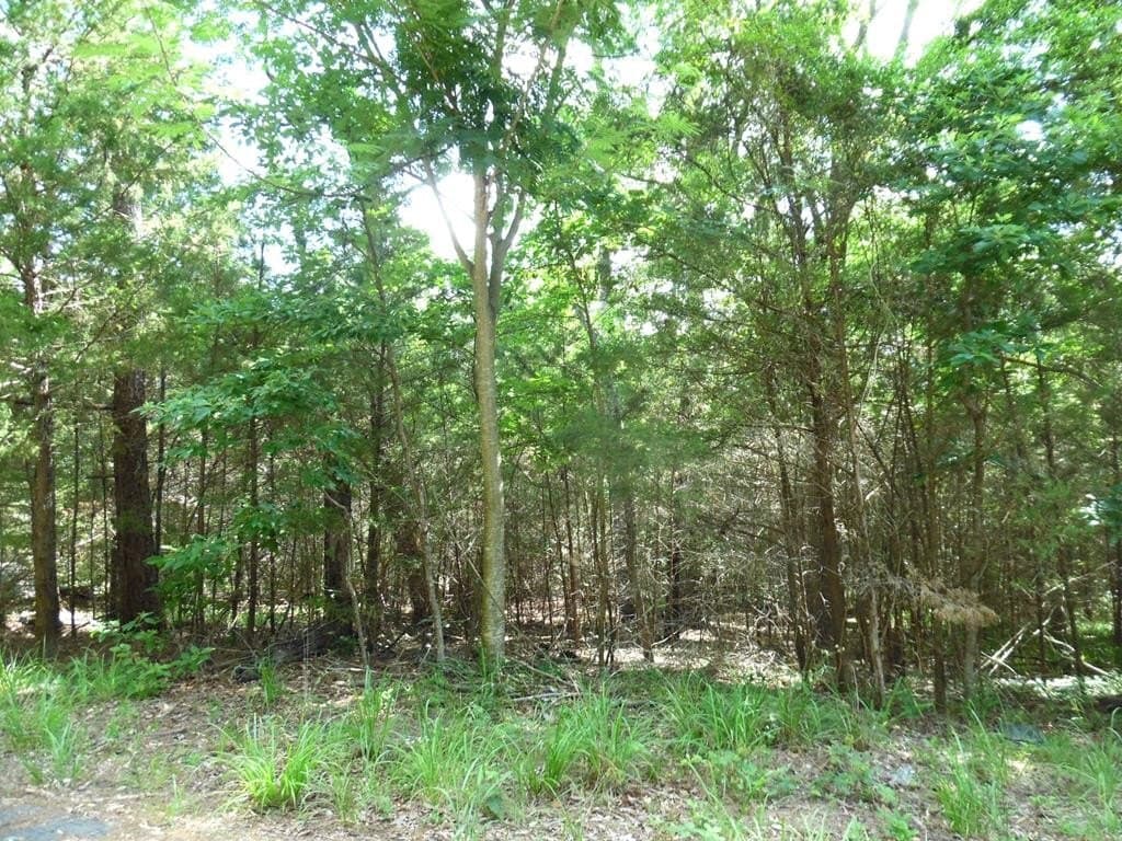 0.25 acres in Van Zandt County