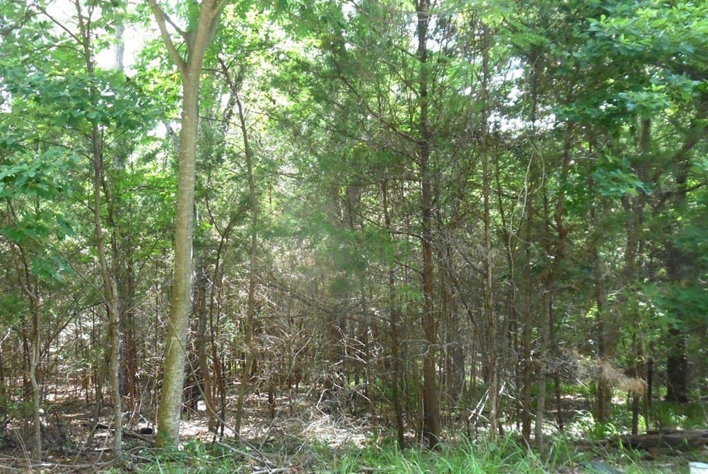 0.25 acres in Van Zandt County - photo 15