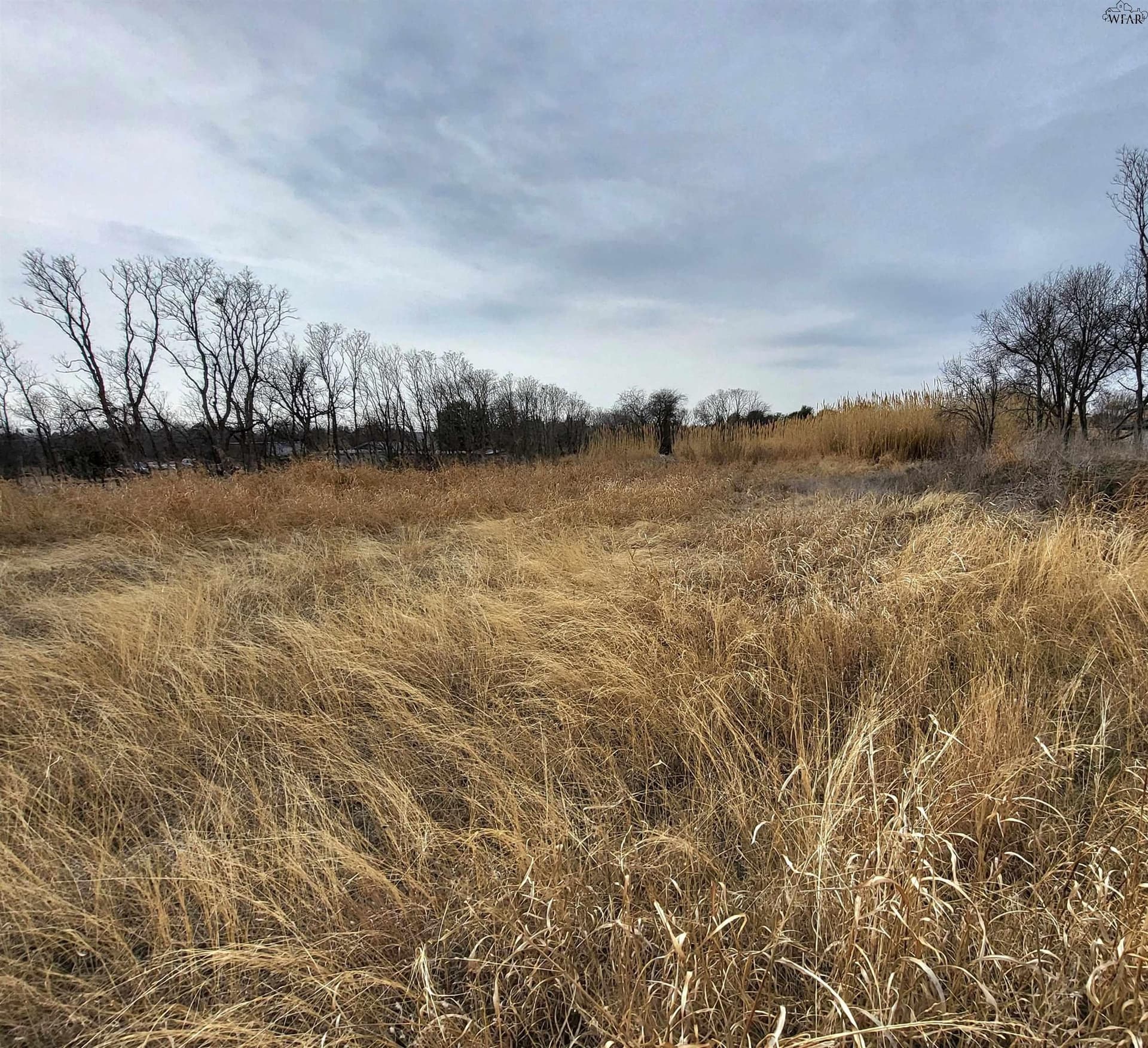 3 acres in Wichita County gallery image 3