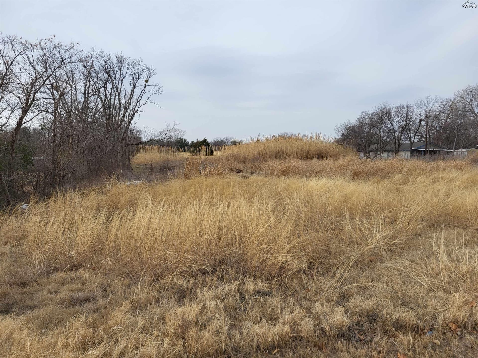 3 acres in Wichita County gallery image 2