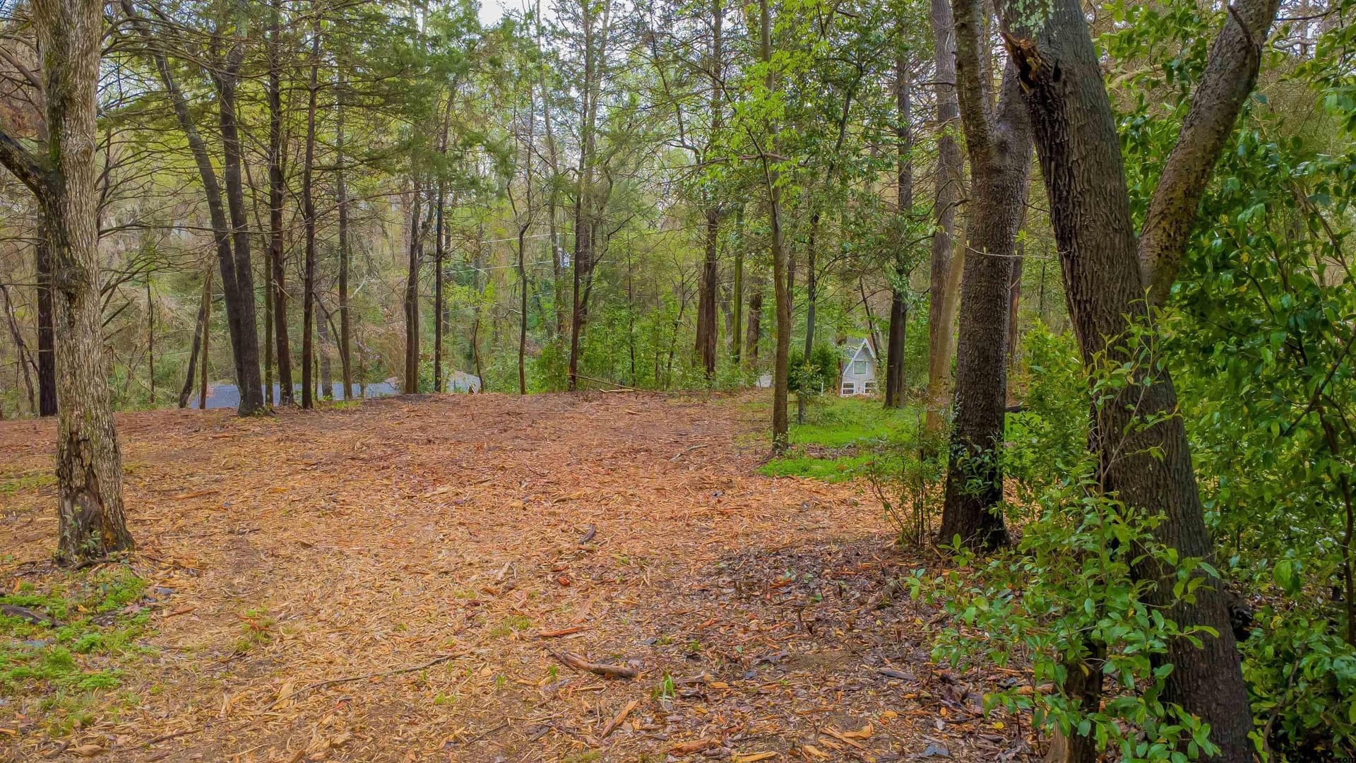 0.84 acres in Smith County - photo 11