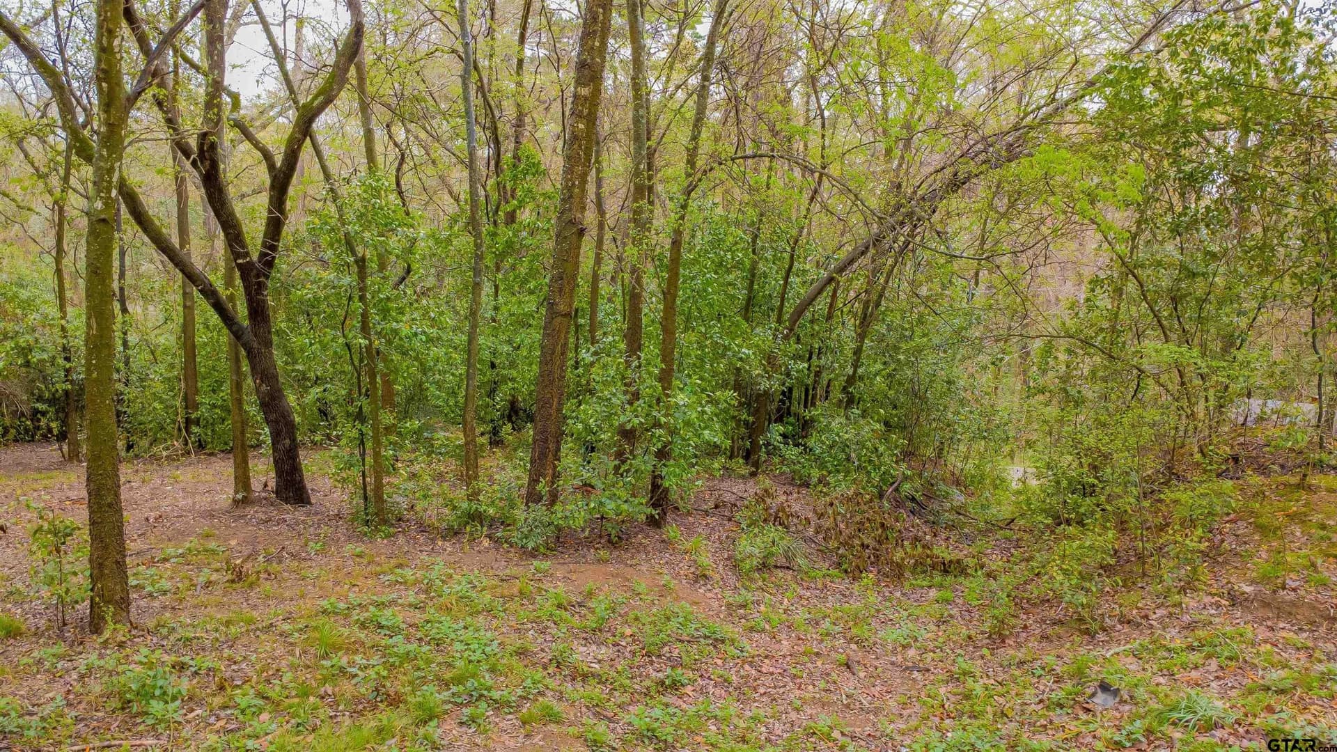 0.84 acres in Smith County - photo 12