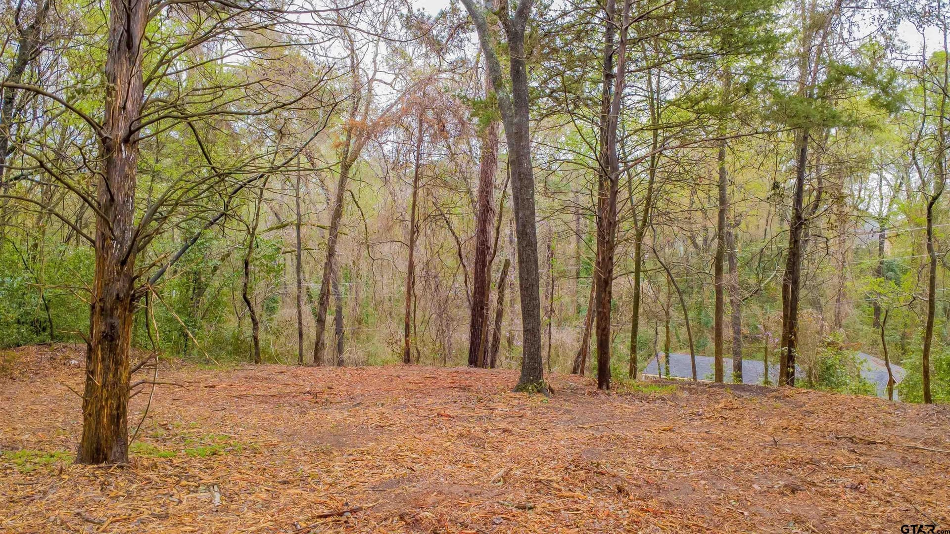 0.84 acres in Smith County - photo 8