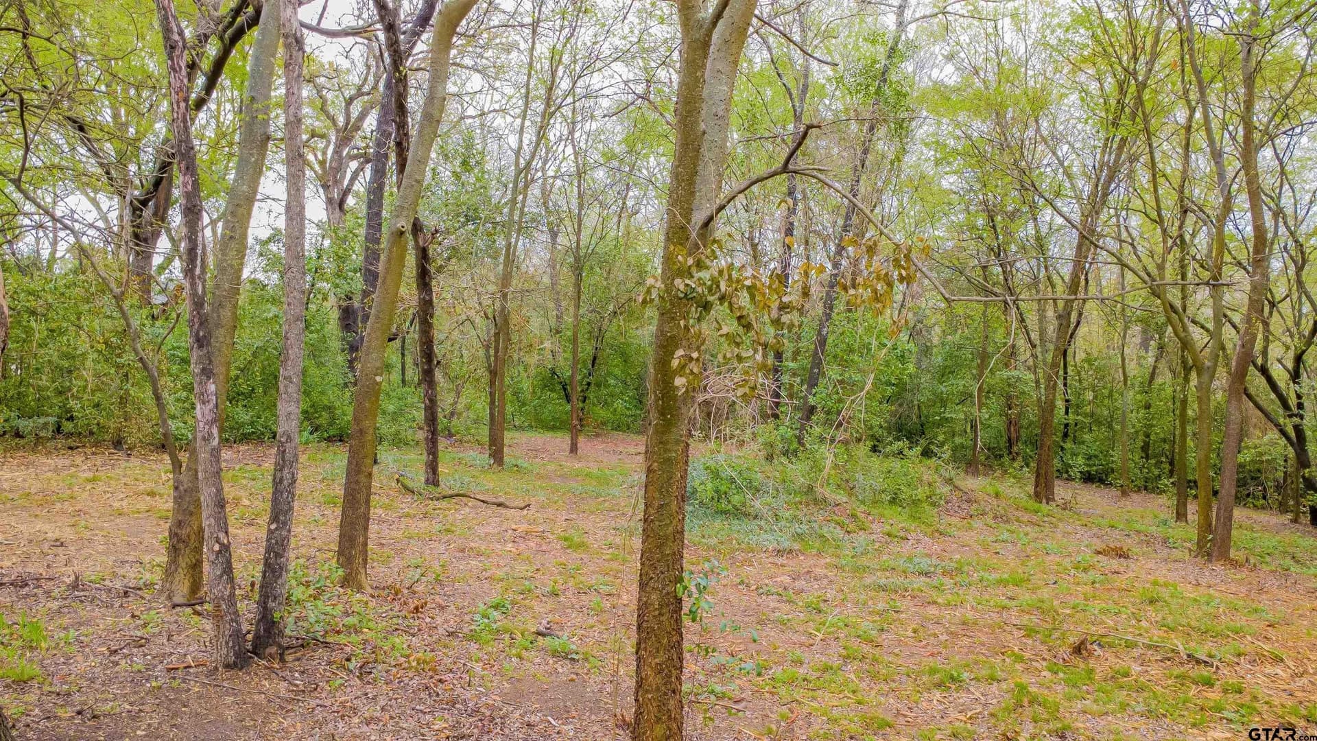 0.84 acres in Smith County - photo 9