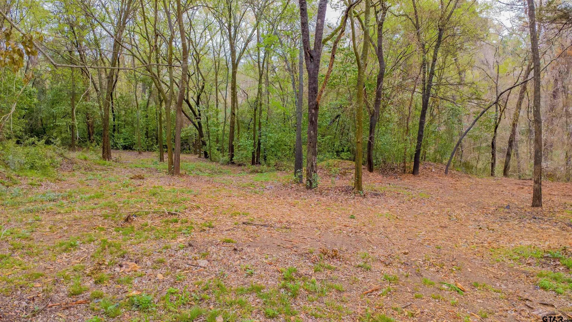 0.84 acres in Smith County - photo 10