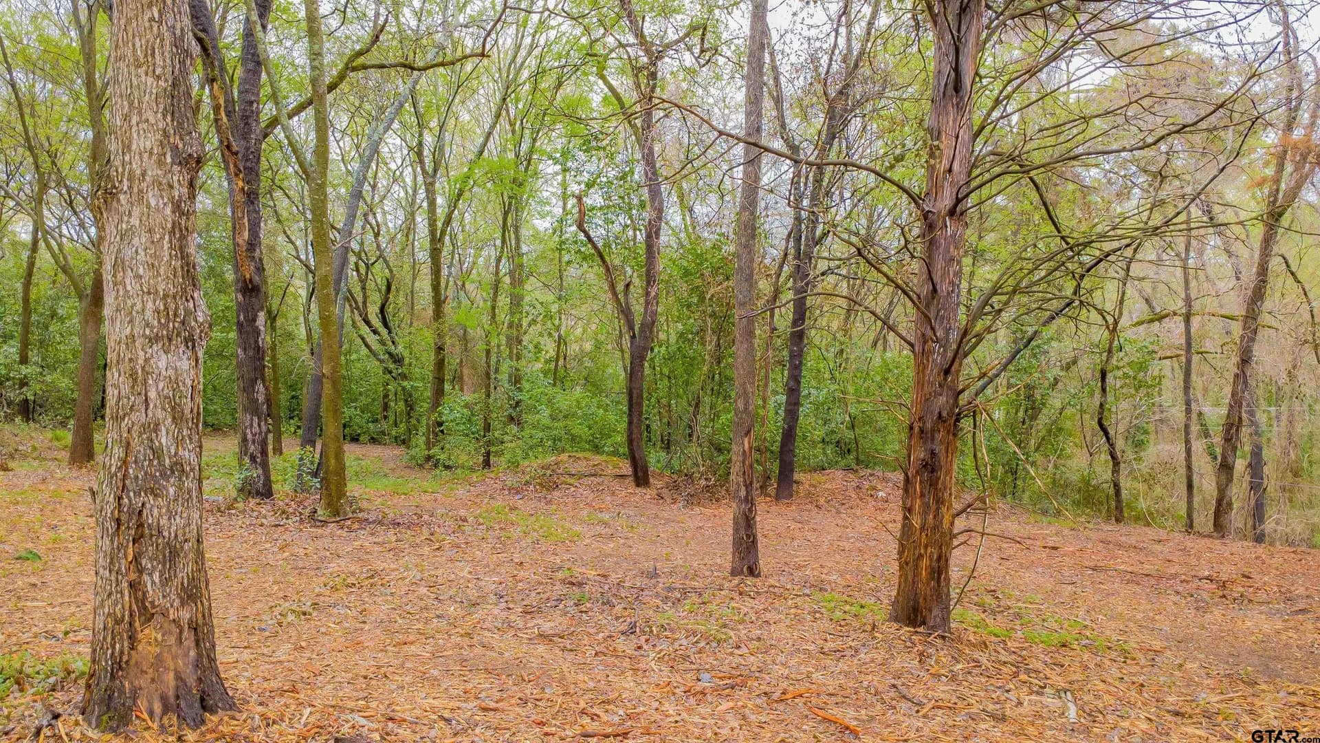 0.84 acres in Smith County - photo 7