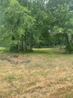 0.41 acres in Henderson County - photo 3