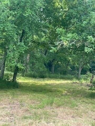 0.41 acres in Henderson County - photo 2