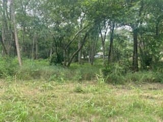 0.41 acres in Henderson County - photo 5
