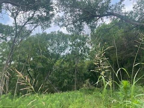 0.41 acres in Henderson County - photo 6