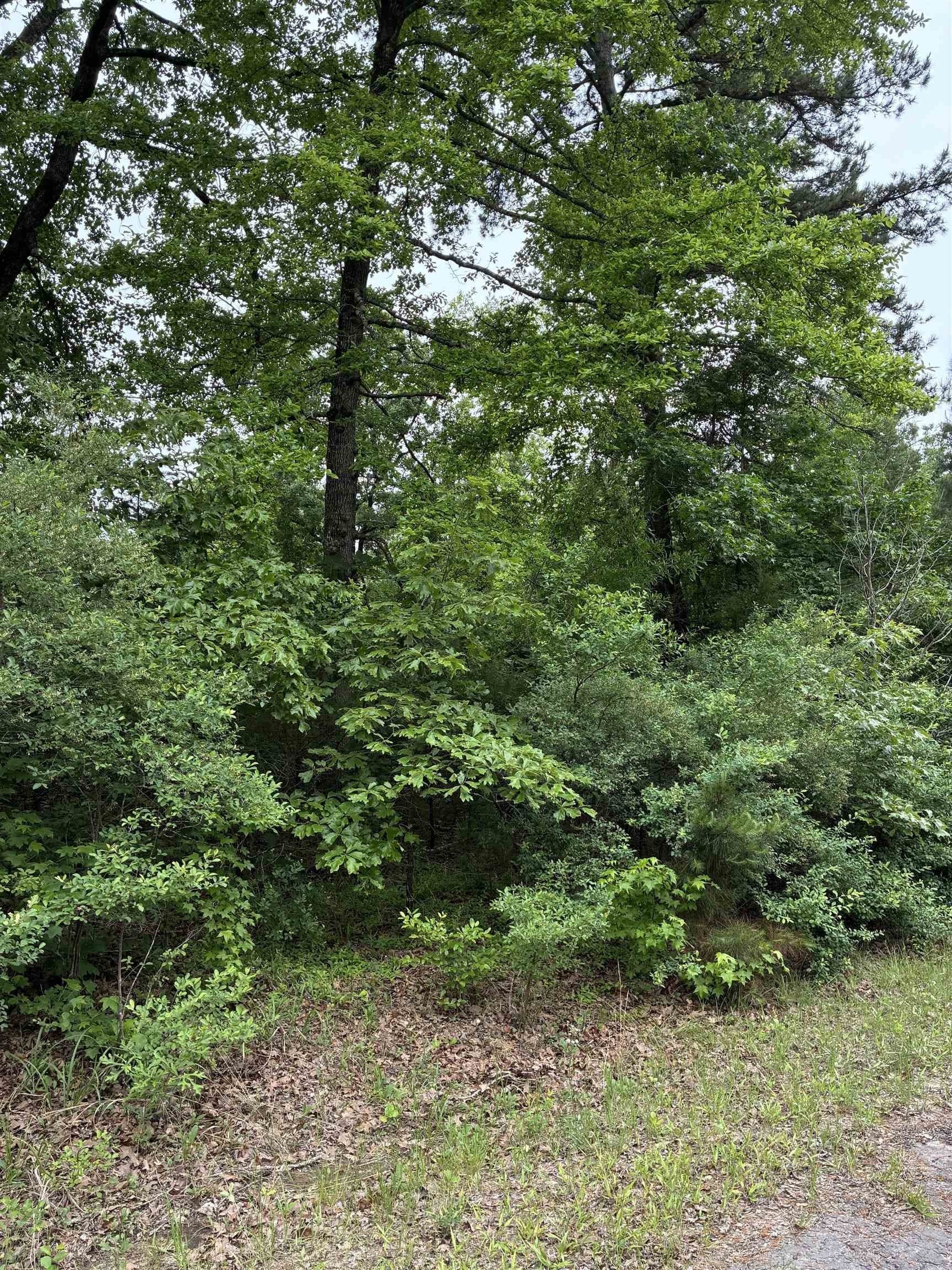 0.13 acres in Texas County gallery image 2