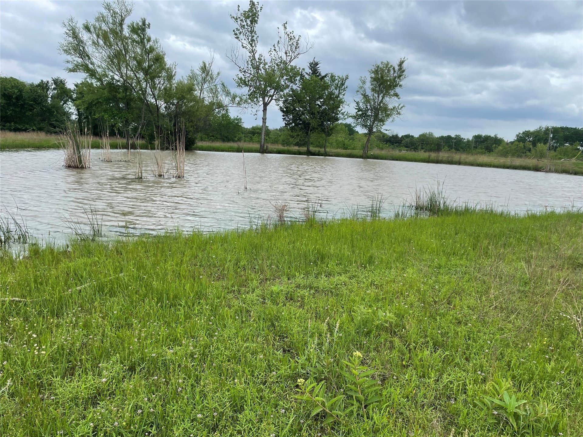 12.46 acres in Van Zandt County - photo 17