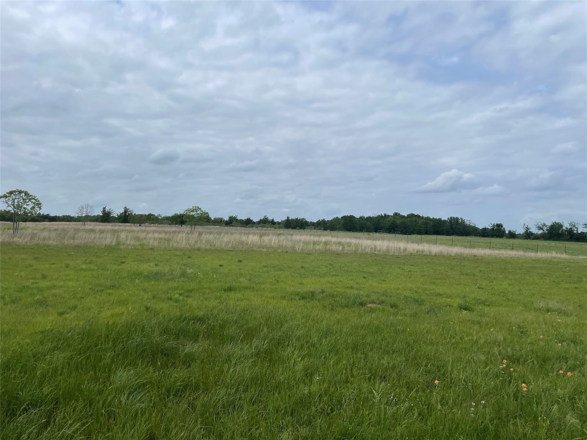12.46 acres in Van Zandt County - photo 13