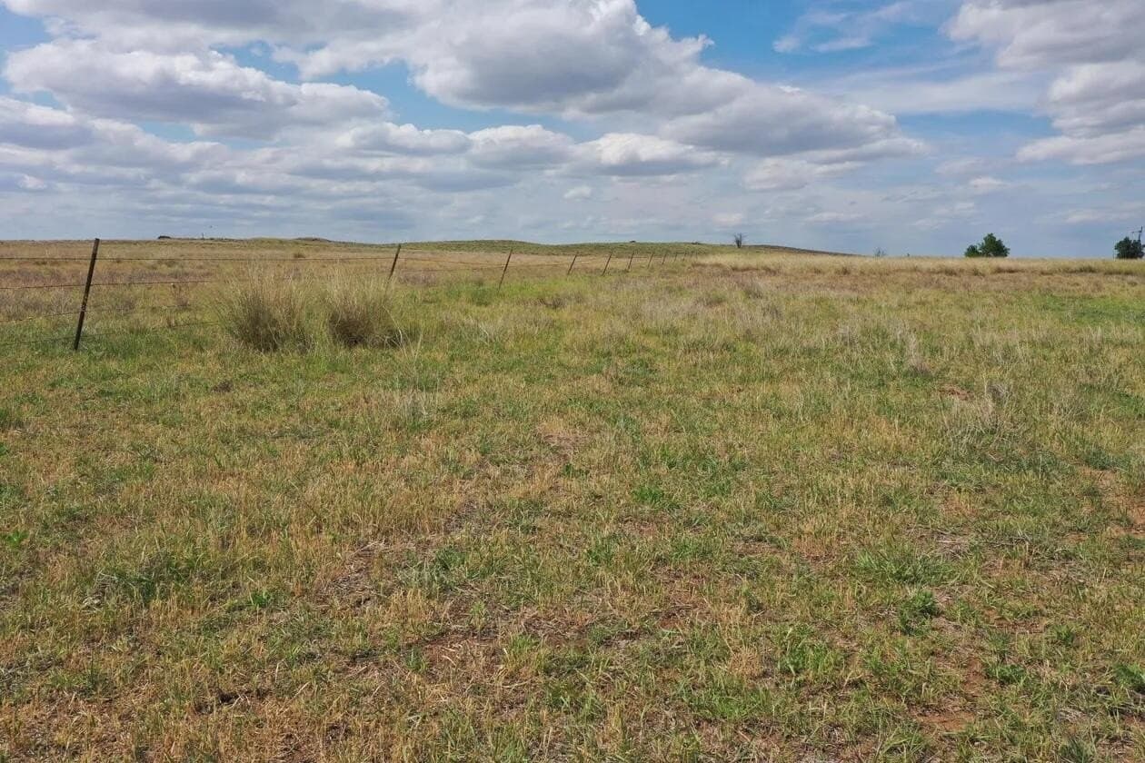 141 acres in Wheeler County - photo 6