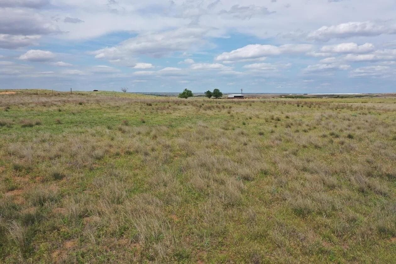 141 acres in Wheeler County featured view