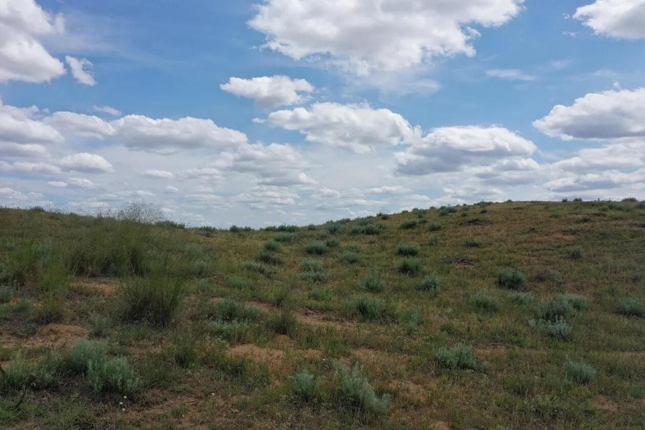 141 acres in Wheeler County - photo 9