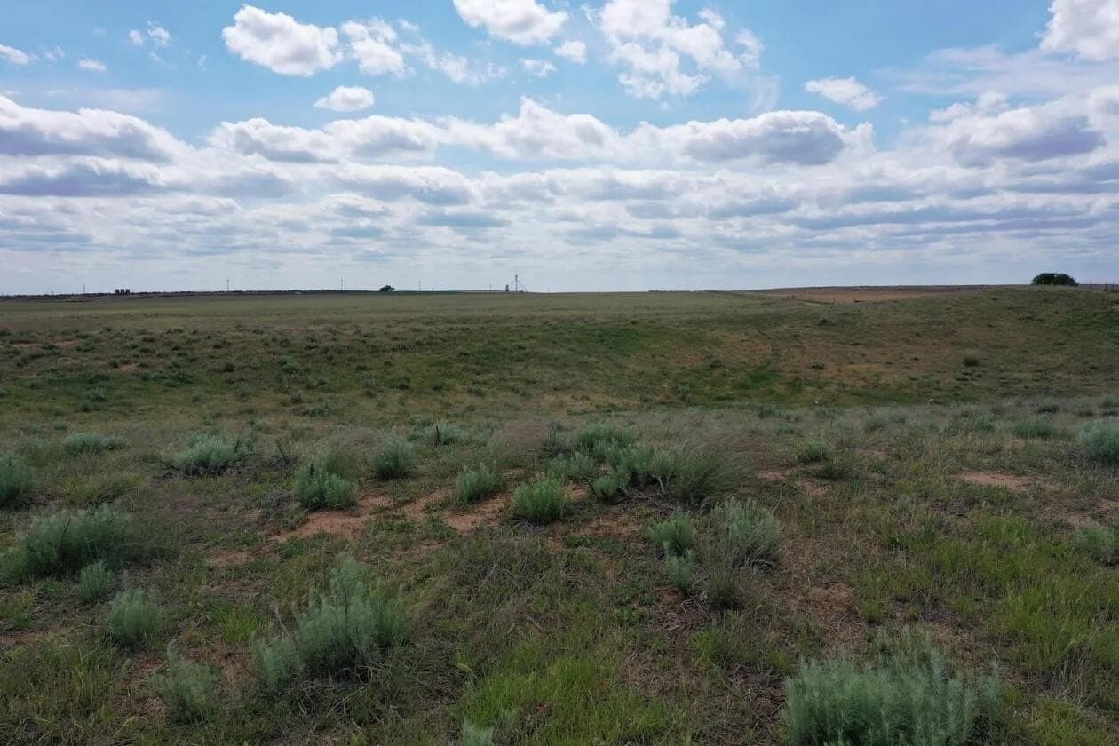 141 acres in Wheeler County - photo 10