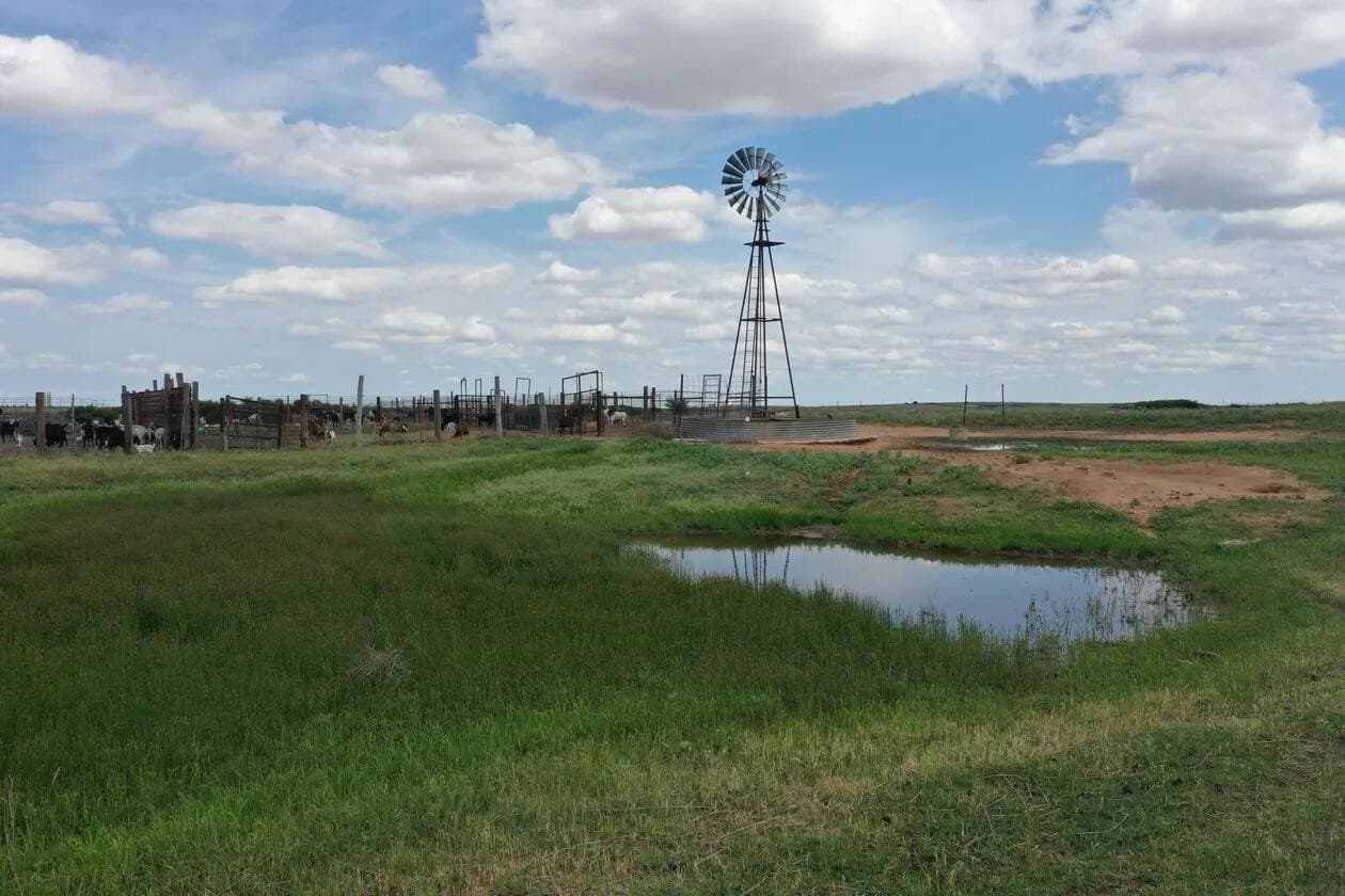 141 acres in Wheeler County gallery image 3