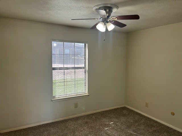 13.55 acres in Dallas County - photo 7