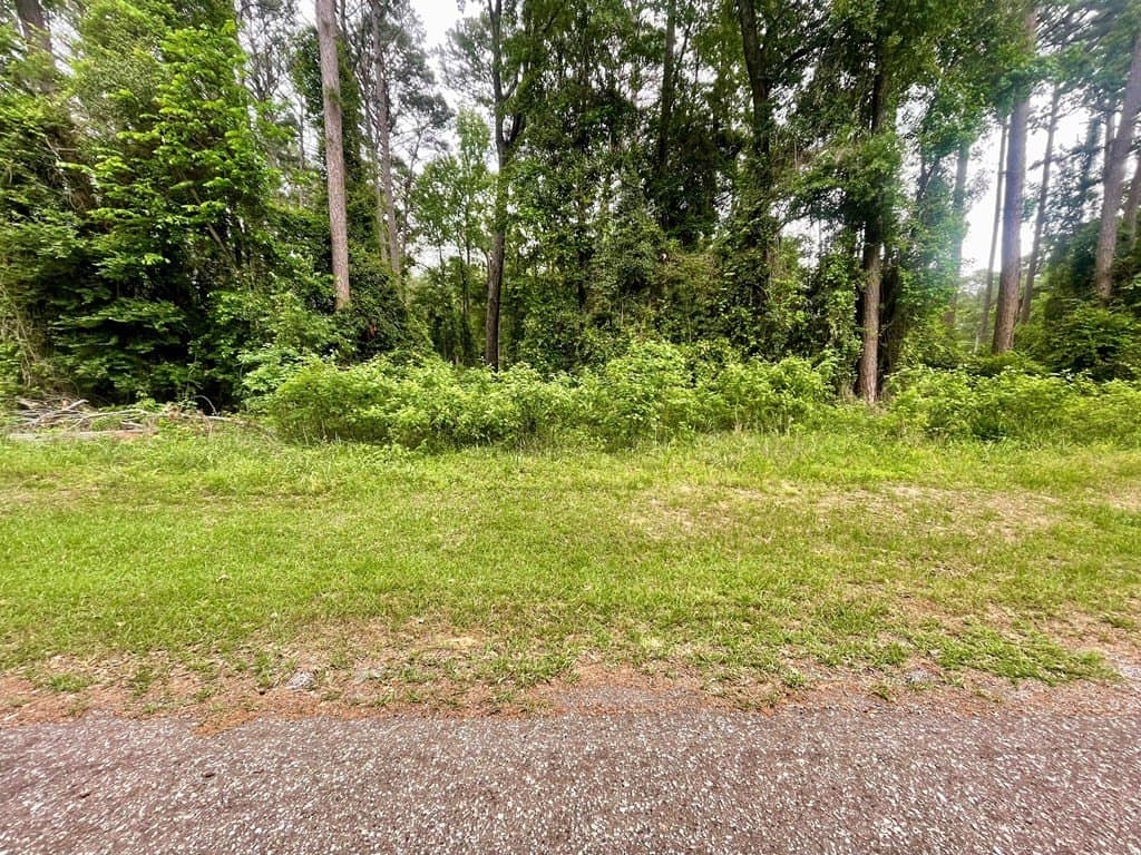 0.4 acres in CHEROKEE County - photo 8