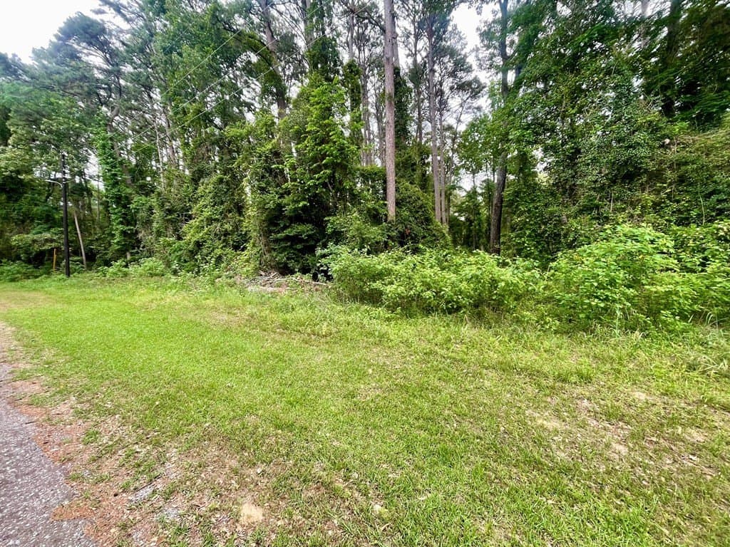 0.4 acres in CHEROKEE County - photo 6