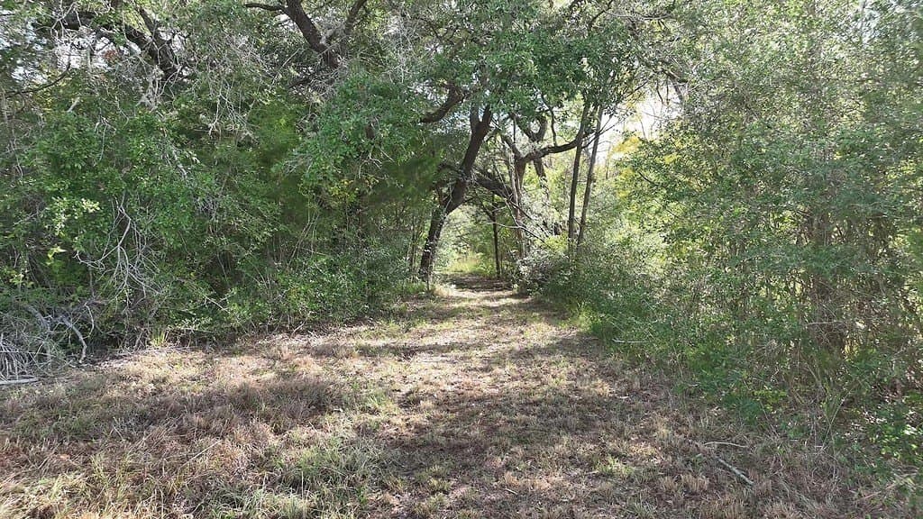 47.3 acres in Fayette County - photo 29