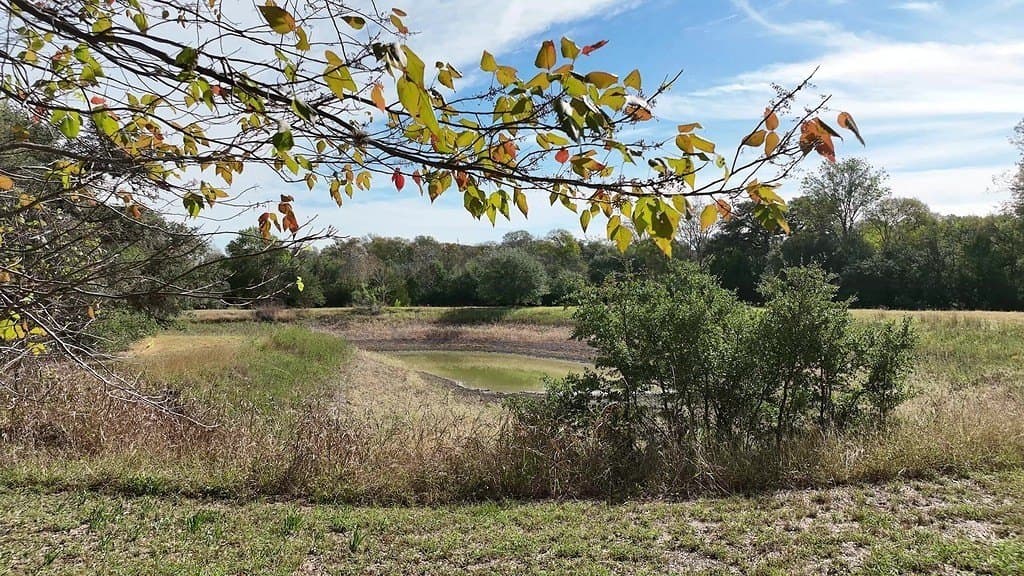 47.3 acres in Fayette County - photo 27