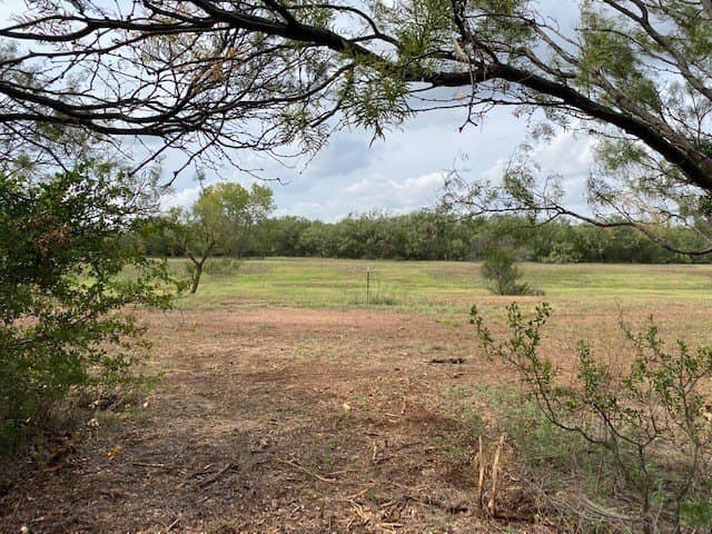 10.81 acres in Taylor County - photo 18