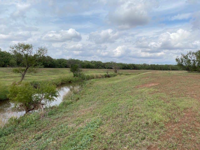 10.81 acres in Taylor County - photo 14