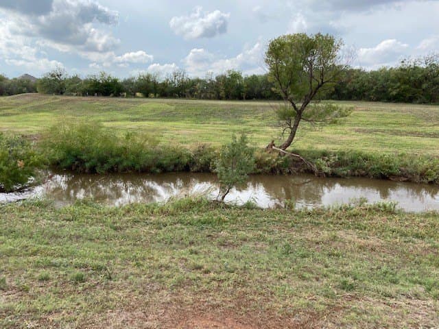 10.81 acres in Taylor County - photo 15